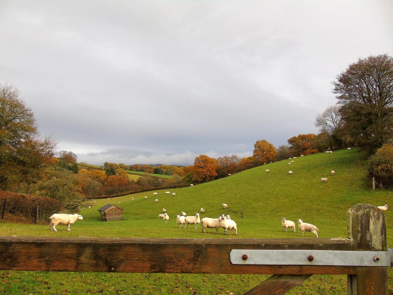 Pwllgwilym B & B Builth Wells Exterior foto